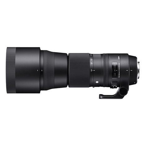Sigma | 150-600mm F5.0-6.3 DG OS HSM | Nikon [CONTEMPORARY] - 10